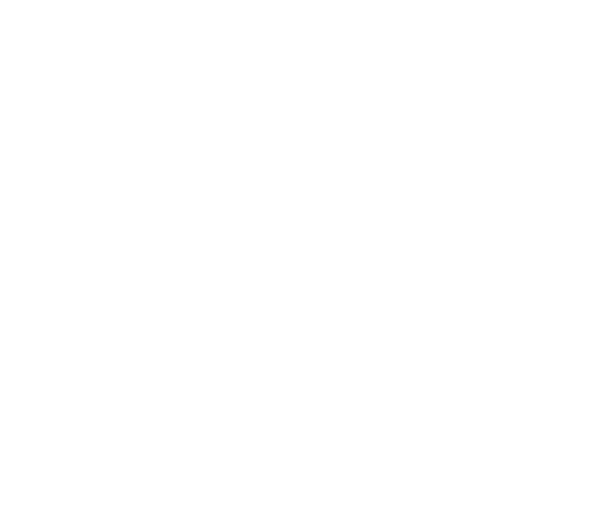 Black Swan - white outlined swan logo